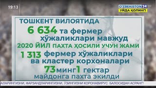 Тошкент вилоятидаги кўп тармоқли фермер хўжаликлари фаолияти