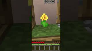 Looting a new village in Minecraft PE #minecraft #minecraftpe #shorts #minecraftshorts #minecraftpes