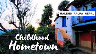 Exploring Childhood Hometown | Maleng Palpa Nepal