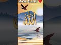 masa allah 🕋🕋 beautiful best short 8k subscribe