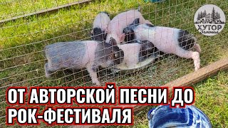 ОТ РОК-ФЕСТИВАЛЯ ДО АВТОРСКОЙ ПЕСНИ