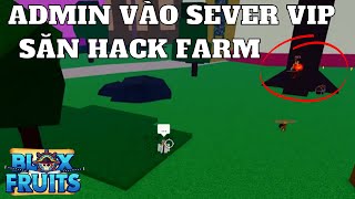 ADMIN Vào Hẳn Sever VIP Săn HACK Blox Fruits