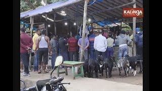 People flock to buy chicken, fish on 'Chhada Khai' | Kalinga TV