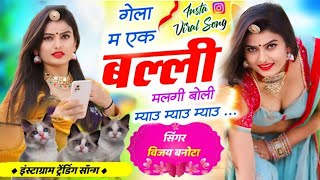 बिल्ली वायरल सोंग 2025 || गेला म एक कूती मिलगी खागी म्हारो म्हारो पाव|| gela me ek billi milgi