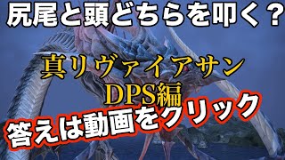 【FF14】真リヴァイアサン討滅戦をDPSで挑戦【初心者入門】