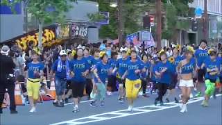 松山まつり２０１７　野球拳踊り　フィッタ連