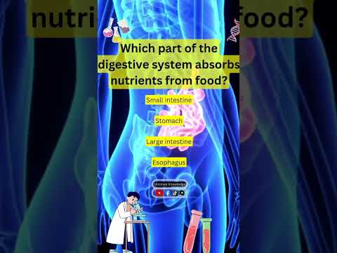 Which system breaks down and absorbs nutrients from food?