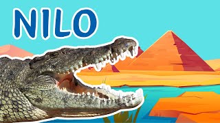 GLI EGIZI-IL FIUME NILO-PRIMA PARTE-STORIA EGITTO PER BAMBINI-VIDEO EDUCATIVI PER BAMBINI- 8/12 ANNI