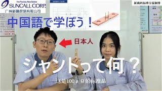 中国語で学ぼう！分流器  Shunt　ってなんだろう？