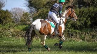 Ballindenisk International