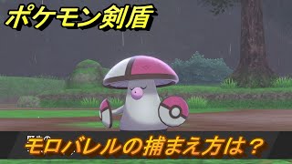 ポケモン剣盾　モロバレルを捕まえる方法！オススメの場所は？天気は？ポケモン図鑑コンプへの道！　最新版【ポケモンソード・シールド】