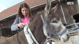 Regional Spezial - Time Walk - Mit dem Esel unterwegs