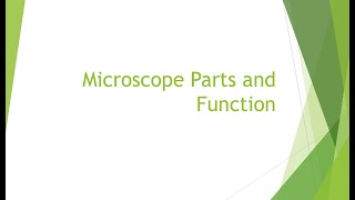 Grade 10 Microscope Parts and Function