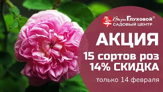 15 СОРТОВ РОЗ - СКИДКА 14%