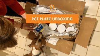 Pet Plate Unboxing & Review