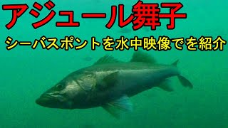 アジュ－ル舞子の釣りと水中映像。シ－バスを釣るならここのポイント！