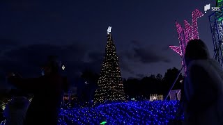 高さ6mゴージャスクリスマスツリーが登場　クリスマスムードを盛り上げー静岡・伊豆ぐらんぱる公園