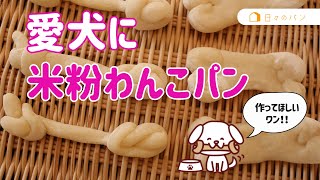 大切な愛犬のために。米粉わんこパン#わんこ #犬のおやつ  #犬