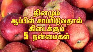 தினமும் ஆப்பிள் சாப்பிடுவதால் கிடைக்கும் 5 நன்மைகள் |         5 Benefits of Eating Apples Everyday