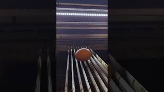 Engraving an Egg?! | Will It Engrave Series - Pushing Boundaries with Fragile Surfaces!