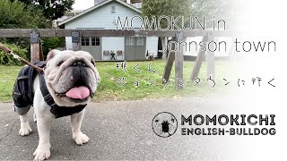 MOMOKUN in Johnson town　桃くんとジョンソンタウンに行きました。