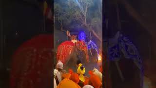 දළදා පෙරහැර අලි කුලප්පුව..|Dalada Perahera Elephant attack .#shorts |#lanka