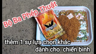 cám Bộ Ba Phép Thuật - sau 2 tháng dùng thử - trải nghiệm , đánh giá và quyết định