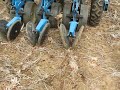 monosem nt planting spinach in dead radish 3 13 13