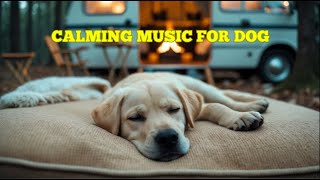 12 Hours of Pet Relaxation Music 🎶 Calming Sounds to Relieve Stress and Anxiety in Dogs