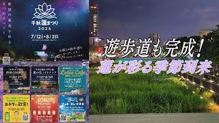 千秋蓮まつり2024を紹介