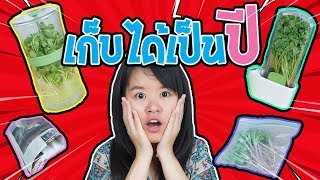 เคล็ดลับสุดยอด วิธีเก็บผักชี และ รากผักชีให้อยู่ได้นานเป็นปี | ออมมี่ รีวิว | AomyWorld