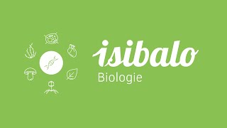 7 - Linneovská klasifikace (BIO - Úvod do biologie)