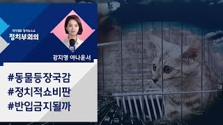 [강지영 Talk쏘는 정치] 국감장에 고양이·구렁이…동물 반입 금지될까