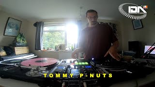 TOMMY P NUTS - IDA UK\u0026I 2022 Scratch Cat ROUND 2