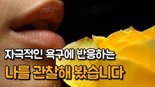 감정, 욕구의 즉각적인 행동 패턴 바꾸기