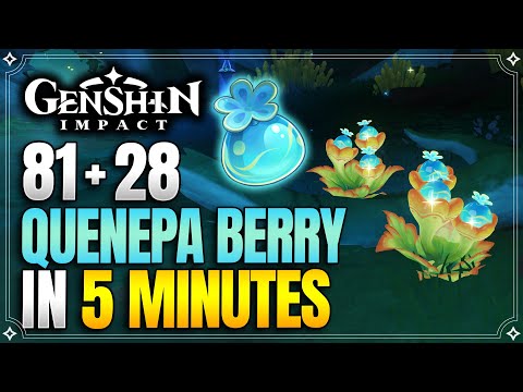 All Quenepa Berry Locations in Genshin Impact