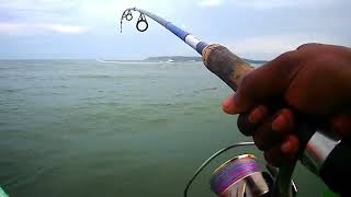 CAUGHT FEW GIANT TREVALLYS AND LOST A MONSTER THREADFIN SALMON (RAWAS)