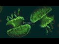 Download Danny Ocean - Dembow (Official Audio) In Mp4 3Gp Full HD Video
