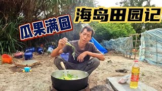 海島田園已成（番外）甜瓜掛果成功  南瓜結果落地  西瓜未來可期 ................#vlog#戶外#探險#野外求生#野外生存