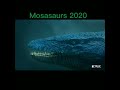 the evolution of the mosasaurs shorts mosasaurs