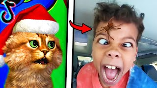 The FUNNIEST TikTok Videos #248 (DON'T LAUGH CHALLENGE 2024)