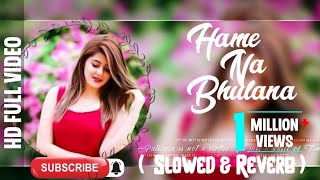 Hame Na Bhulana | Slowed & Reverb  | Tere Pyar Mein Main Marjawan | Tiktok Trending Lofi songs