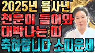 [2025년 미리보는 을사년 소띠운세] 축하합니다! 2025년 천복을 타고 금전, 귀인, 문서 다 들어온다! 소띠분들 엄청난 반전이 시작됩니다! 61년생 73년생 85년생 97년생