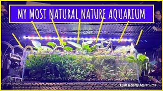 MY MOST NATURAL NATURE AQUARIUM EVER!