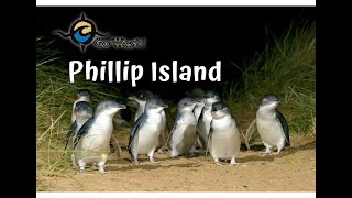 Phillip Island - Go West Tours - Day Tour from Melbourne