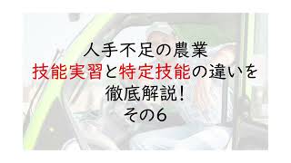 人手不足の農業、技能実習と特定技能の違いを徹底解説！6〜「特定技能」1号と2号の違いについて〜