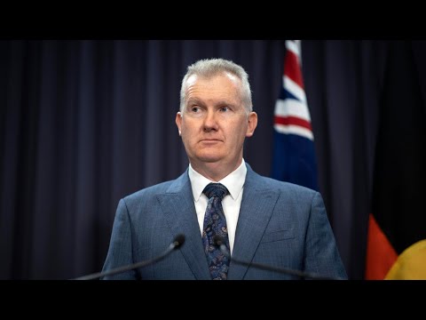 ‘Double standards’: Sky News host calls out Tony Burke over anti-Israel university protests