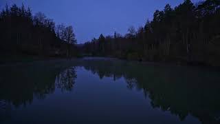 Vogelgezwitscher in der Morgendämmerung am See | Relaxing Nature Sounds | Morning Birds singing