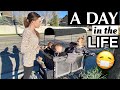 A REAL DAY & NIGHT IN THE LIFE WITH 4 KIDS | BIG FAMILY DAILY AND NIGHTLY ROUTINE