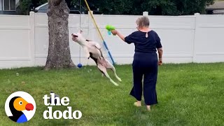 Grandma Didn't Like Pit Bulls Until She Fell In Love With One | The Dodo